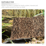 Bark Reptile Cork Tree Terrarium Background Climbing Tank