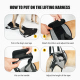 Dog Harness Support Brace for Leg Injury Protector