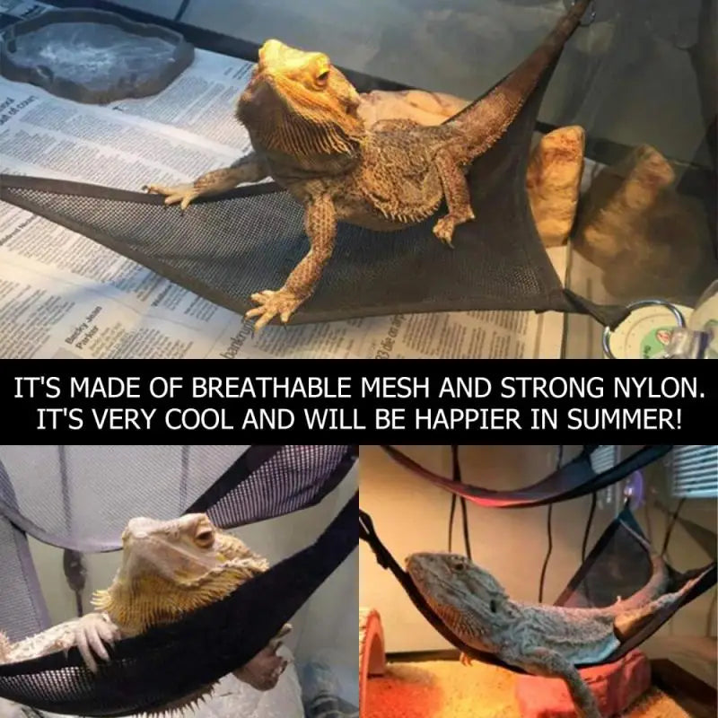 2 Pack Bearded Dragon Hammock Lizard Lounger Ladder