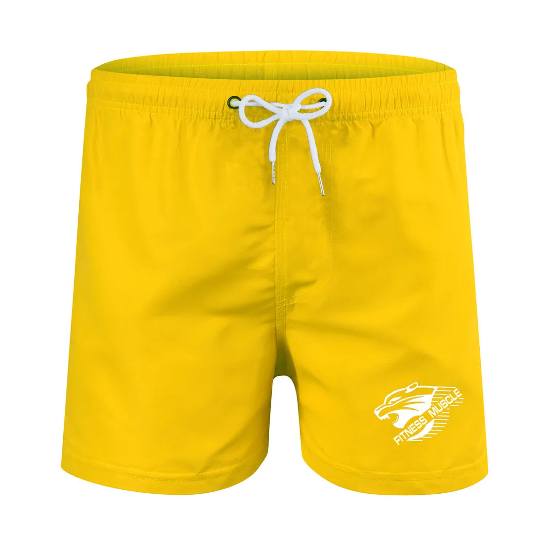 Swim Trunks Swim Shorts for Men Quick Dry