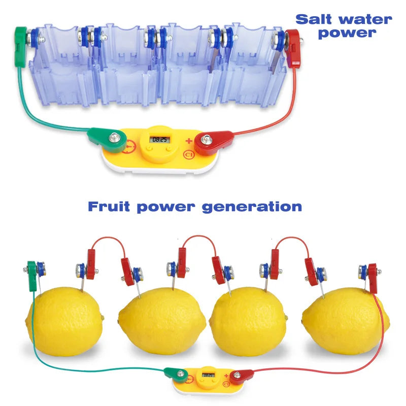 Kids Montessori Toy Fruit Potato Dry Battery Educational