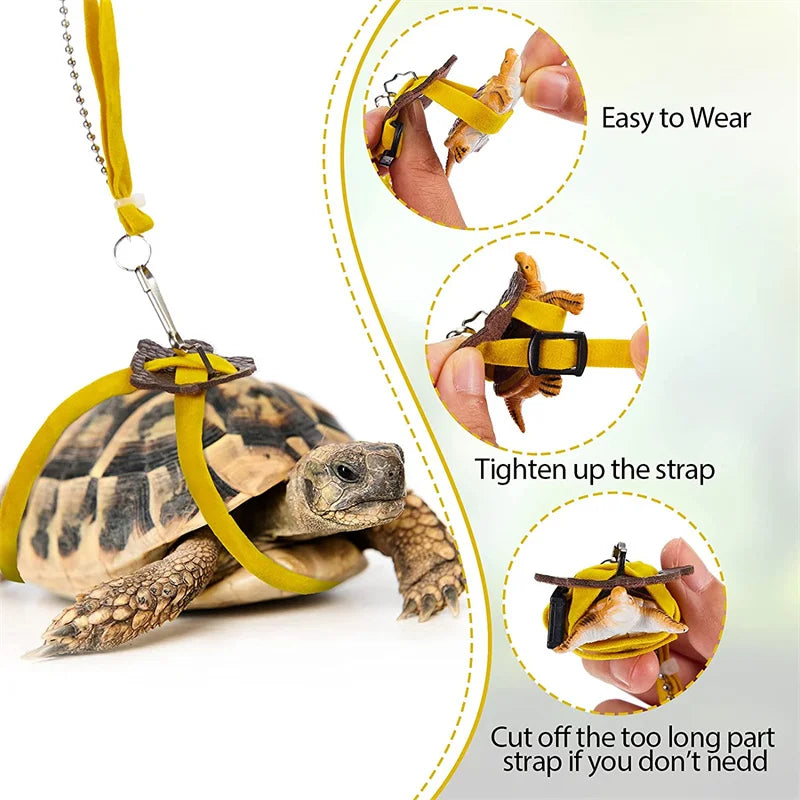 Dragon Lizard Leash Harness Turtle Leash Tortoise Harness