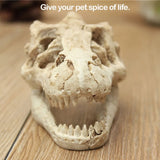 1 Pcs Dragon Resin AquariumTerrarium Decoration Crocodile Skull