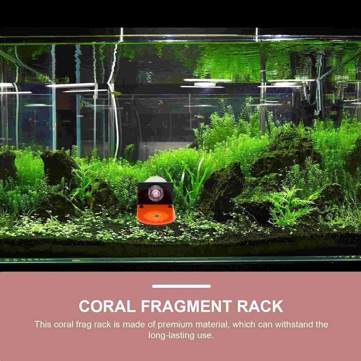 4 Pcs Fish Tank Coral Support Frag Rack