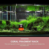 4 Pcs Fish Tank Coral Support Frag Rack
