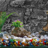 Background Rock Slab Terrarium Landscape Photography Board Reptiless