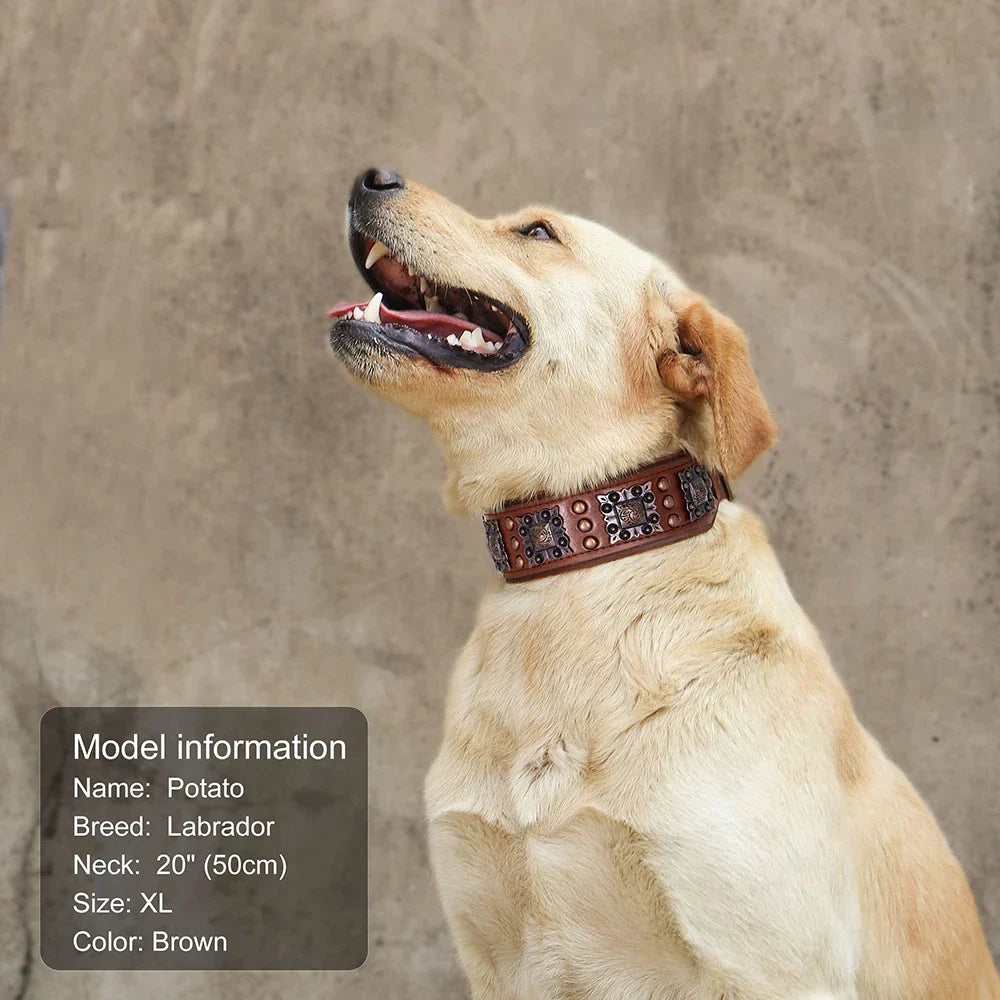 Durable Spiked Genuine Leather Dog Collar For Medium