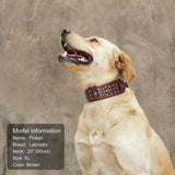 Durable Spiked Genuine Leather Dog Collar For Medium