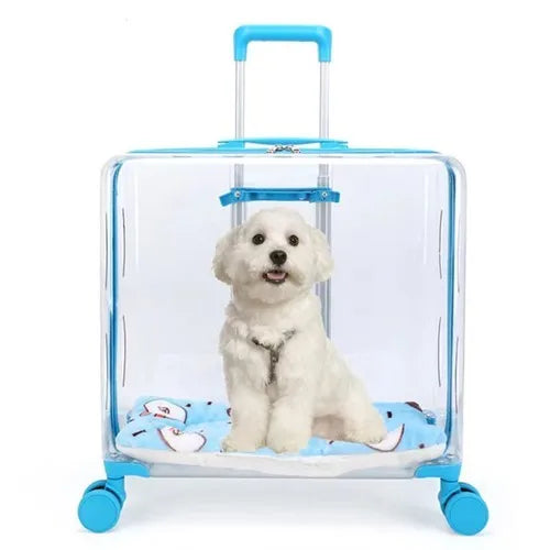 Stroller Kitten Cat Carriers Crate Backpack Transporter Cat