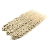 Ariel Hair Synthetic Twist Crochet Curly Hair 24