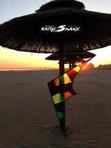 Free shipping Freilein kite Factory dual line stunt