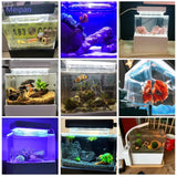 Portable Mini Betta Fish Tank Aquarium Desktop Decorations