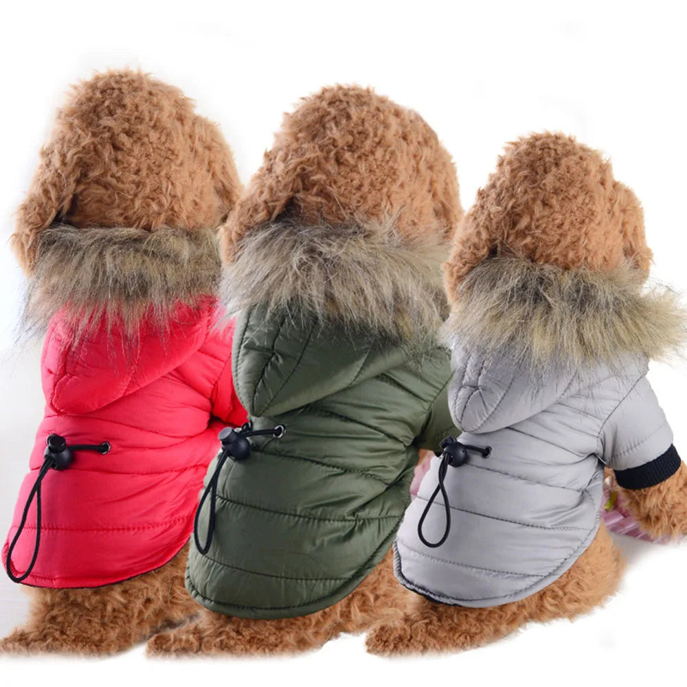 Dog Winter Coat Windproof Small Dog Hoodie Jacket