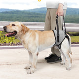 Dog Harness Support Brace for Leg Injury Protector