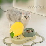 Cat Water Dispenser Pet Water Fountain Automatic Feeder