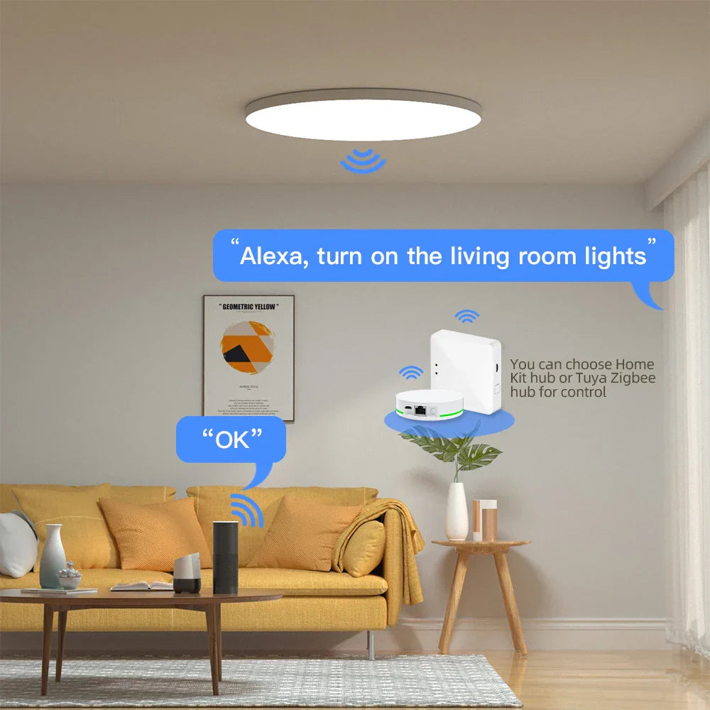 Zemismart Tuya Zigbee 24W Smart LED Ceiling Light