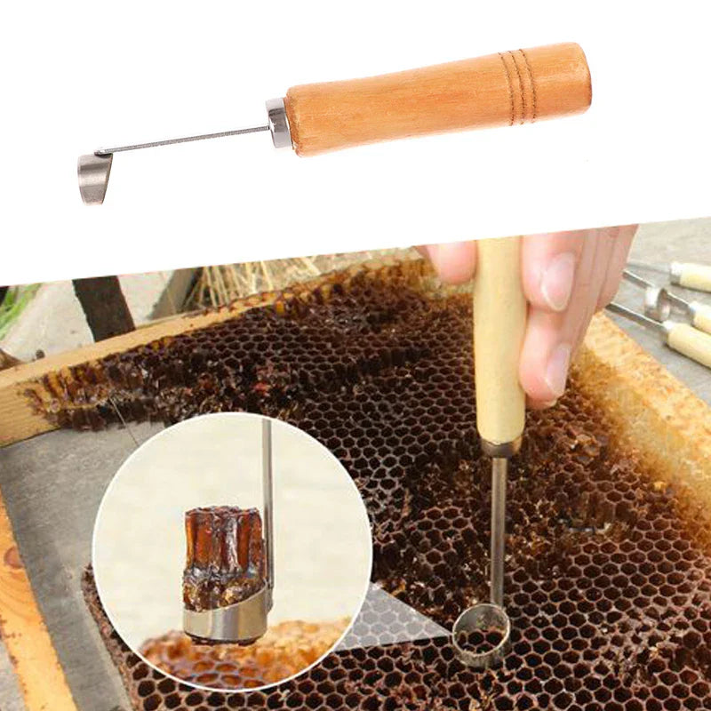 1Pc Beekeeping Device Beehive Cleaning Scraper Functional Honey