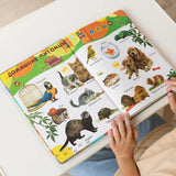 Biidi learning game for kids Montessori learning book