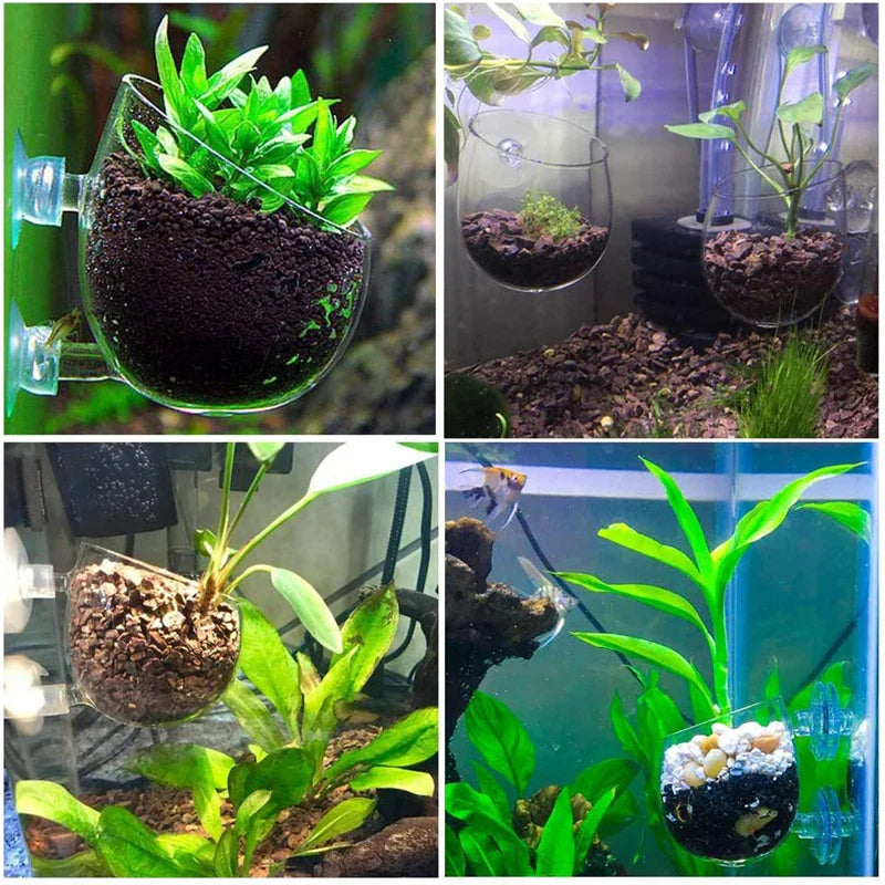 Aquarium Plant Pot Glass Cylinder Cup With Suckers
