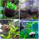 Aquarium Plant Pot Glass Cylinder Cup With Suckers