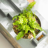 Creative Small Aquarium Fish Tank Kit Built-in Oxygen