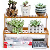 Natural Bamboo Indoor Plant Stand for Desk,Adjustable Desktop
