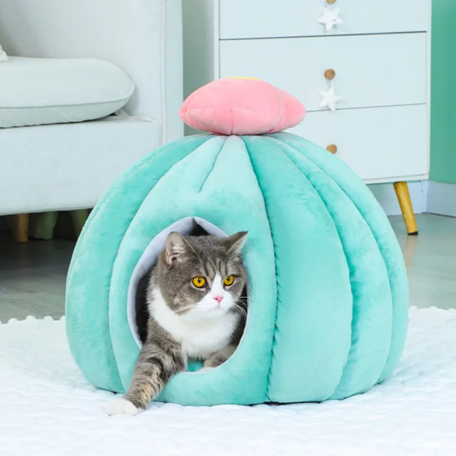 Closed Fluffy Cute Fashion Habitats Cat Bed Kittens