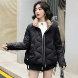 2023 New Winter Down Cotton Women Short Parkas