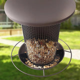 2-in-1 Bird Feeder for Garden Weather Resistant Metal