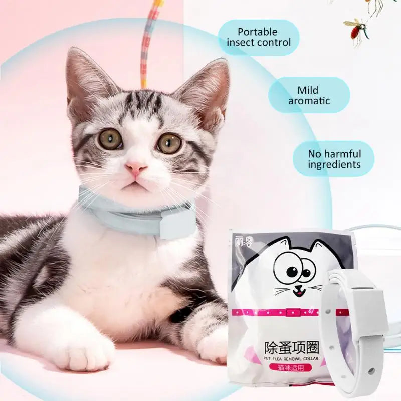 3pc Adjustable Cat & Dog Collar Flea &