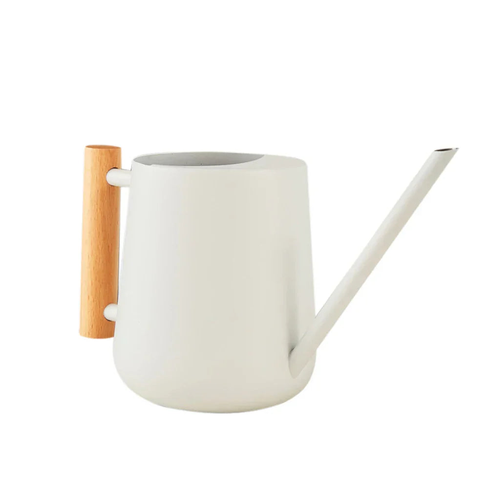 Plant Watering Can With Long Spout 900ml Large