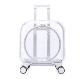Stroller Kitten Cat Carriers Crate Backpack Transporter Cat