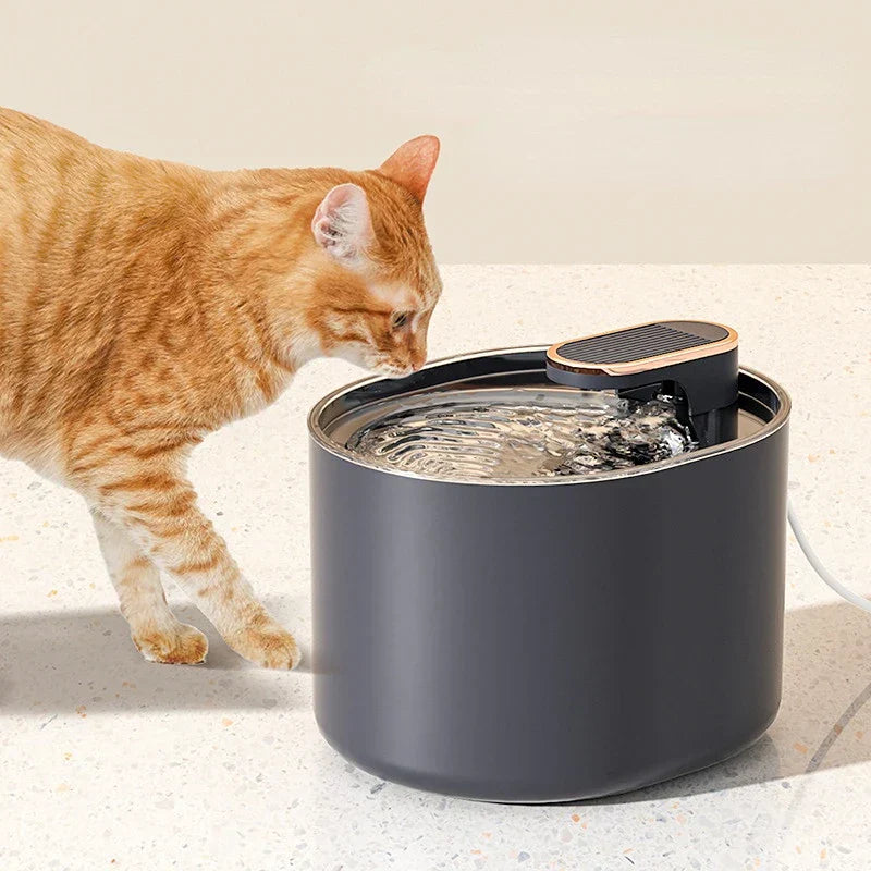 3L Cat Water Fountain Automatic Cat Water Dispenser