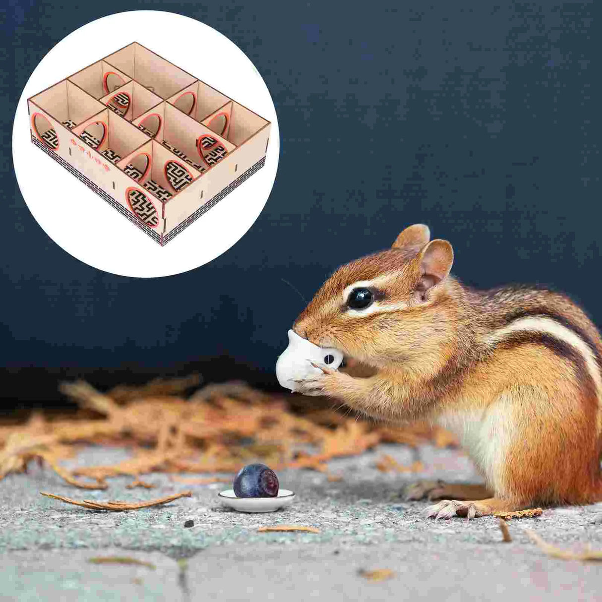 Hamster Maze, Multi- Chamber Hamster House Maze Rat