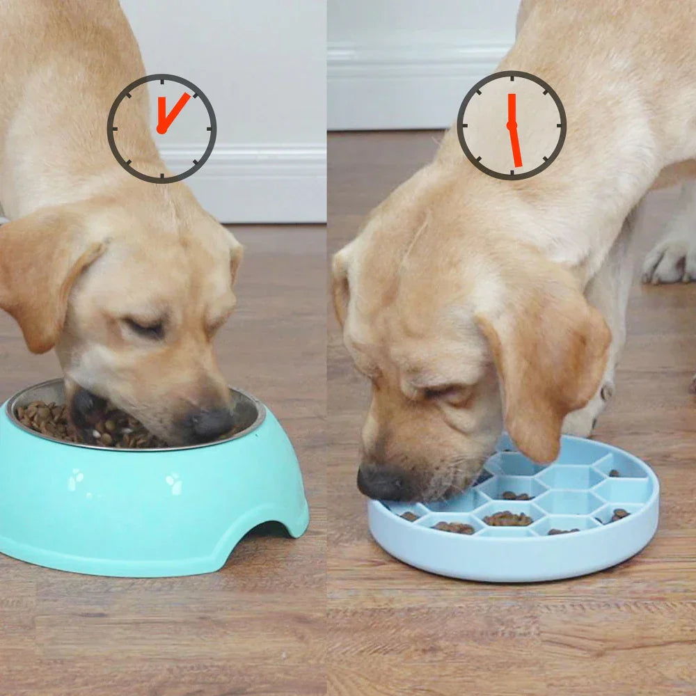 Pet honeycomb slow food bowl dog choking bowl