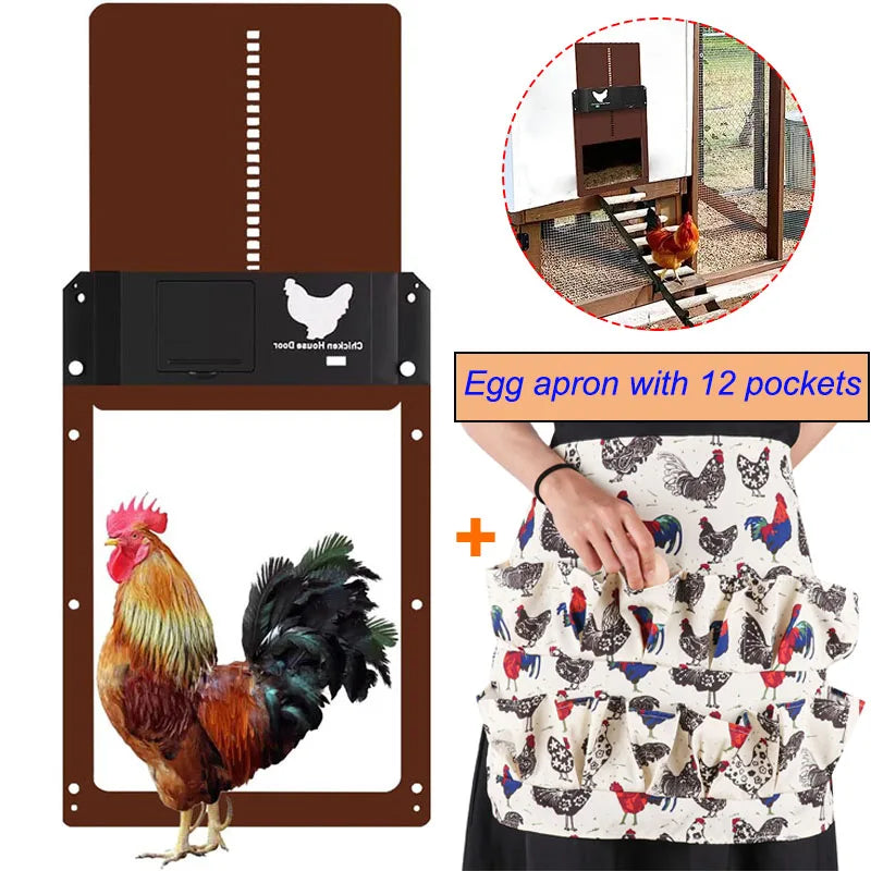 Automatic Chicken House Door with 12 Pockets Eggs