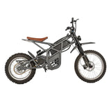 EMC02 Wholesale Electric Vintage Bicycle Factory Direct Sell
