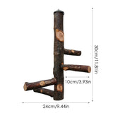 Pet Parrot Bird Standing Stick Wood Pole Bird