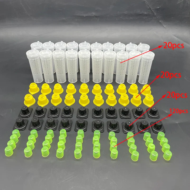 Queen Bee Rearing Kit Nicot Germany Jenter Bee