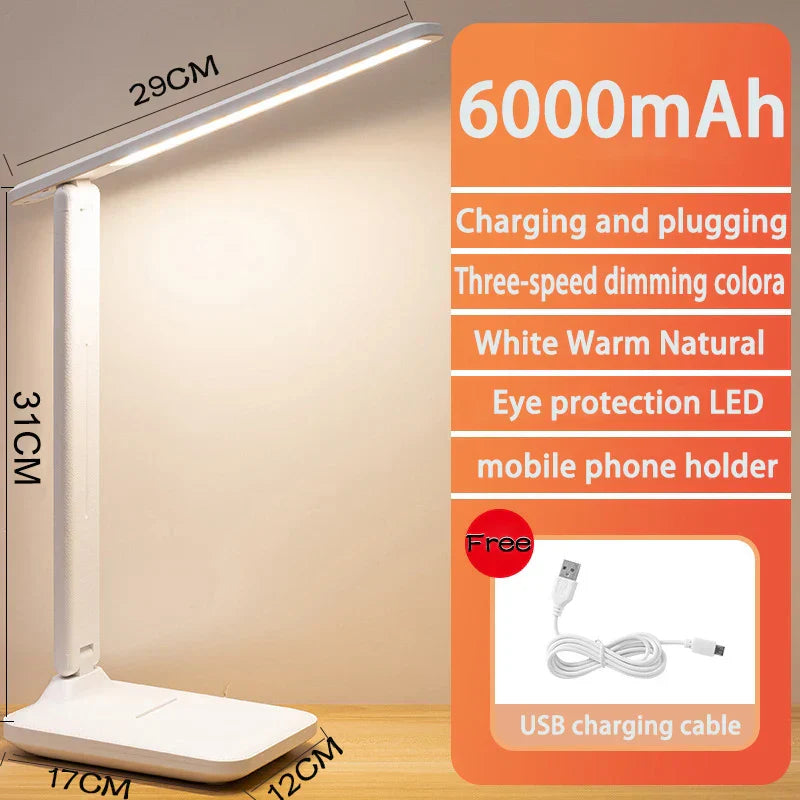 6000mAh LED Table Lamp USB Chargeable 3 Color