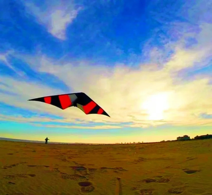 Free shipping Freilein kite Factory dual line stunt