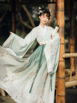 Women Hanfu Dress Traditional Chinese Cloth Outfit Ancient
